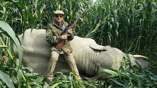 ​Asesinan a elefante que se puso agresivo por maltrato de los humanos 