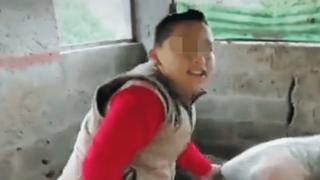 Niño que no hizo su tarea por ayudar a su cerdita a parir, conmueve con mensaje enviado a su maestra | VIDEO