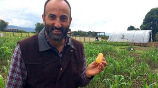 Alarma mundial: Palomitas originales están en peligro de extinción