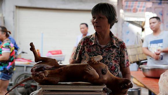 China: Inicia celebración de carnicería de miles de perros en cruel festival [FOTOS]