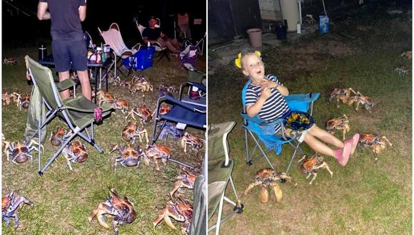 La familia Luetich acampaba en la Isla de Navidad (Australia), cuando varias decenas de cangrejos carnívoros interrumpieron su reunión atraídos por el olor de la comida. (Foto: Facebook / Christmas Island Tourism)