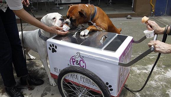 ​Perros eligen sabor de sanos helados veganos elaborados para ellos