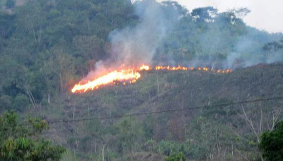 Abancay: Incendios forestales arrasan 160 hectáreas de bosques  