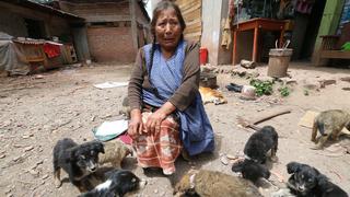 Cusco: Anciana que alimentó toda su vida a perros callejeros, ahora no tiene qué comer 