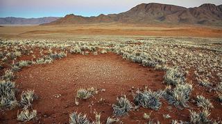 Nueva hipótesis explica misterio de los "círculos de hadas" de Namibia 