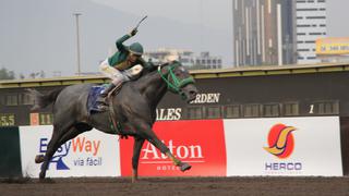 Destacado jockey ganador de premio internacional fallece tras caer de caballo en Surco │VIDEO