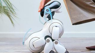 ​Sony volverá a lanzar nuevo robot mascota 12 años tras el perro AIBO