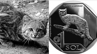 La nueva moneda de S/1 alusiva al gato andino ya se encuentra en circulación 