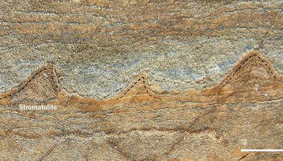 Hallan en Groenlandia el fósil más antiguo, de 3.700 millones de años