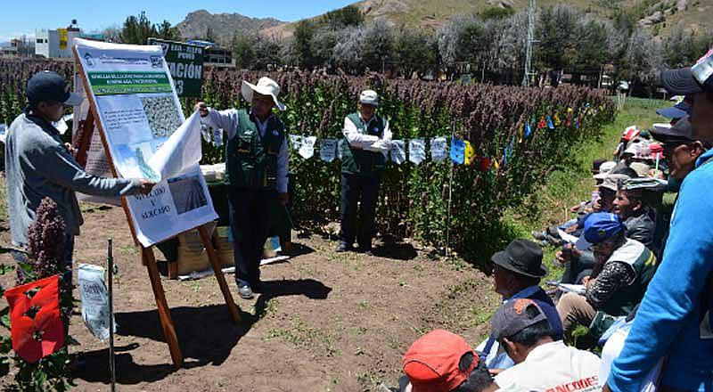 INIA capacita a productores de quinua en Puno   