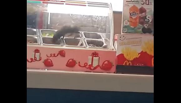 YouTube: Rata asusta al comer postres de McDonald’s [VIDEO]  
