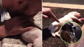 Hombre logra revivir a cachorra con RCP (VIDEO)
