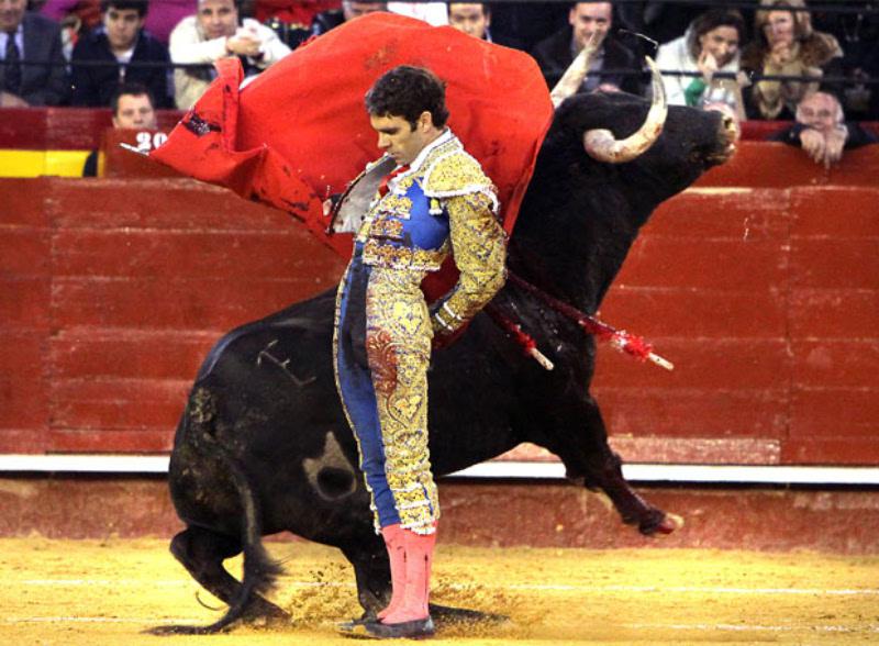 Torero español José Tomás herido en México se salvó de morir