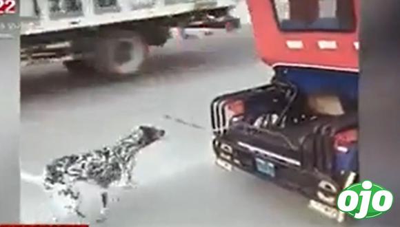 Amarran a perrito a mototaxi | Imagen compuesta 'Ojo'
