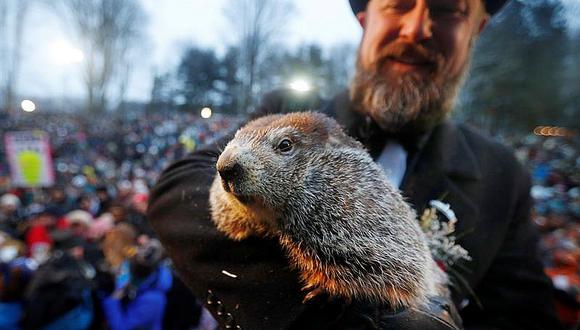 ​La marmota Phil predice que la primavera llegará pronto a Estados Unidos