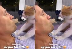 Instagram: Leao Butrón le explica a su gato que no debe salir por el estado de aislamiento | VIDEO