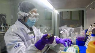 China: Prueba de vacuna contra el COVID-19 en monos tuvo notable éxito