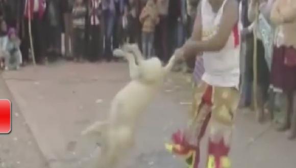 Huancayo: Danzante de tijeras maltrata a perro [VIDEO]