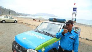 Miraflores cierra acceso a sus playas en la Costa Verde para el recojo de pelícanos infectados o muertos por gripe aviar 