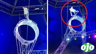 Acróbata de circo se salva de un fatal accidente en pleno show