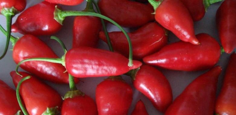 Comida picante prolonga la vida y evita riesgo de contraer cáncer 