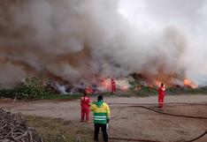 35 hectáreas de pastizales en Nepeña resultaron afectadas tras incendio forestal