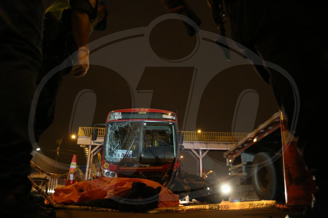 Foto: Stefania Piaggio