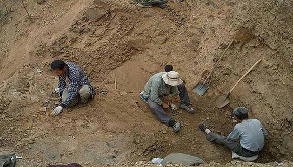 Descubren colágeno conservado en fósil de dinosaurio del primer Jurásico 