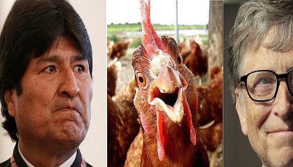 Bolivia se ofende y rechaza 100.000 gallinas que Bill Gates les regaló 