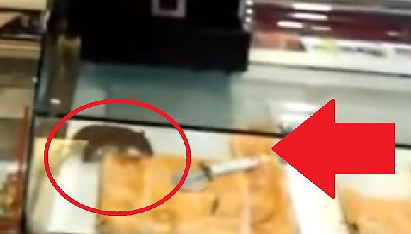 YouTube: captan cómo una rata se deleita con empanadas frente a clientes (VIDEO)
