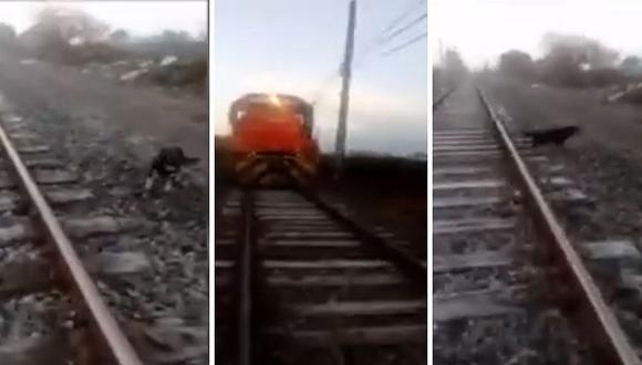 Maquinista detiene tren para rescatar a perro que dejaron amarrado en las rieles | VÍDEO