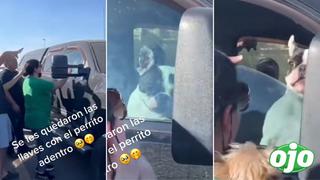 Olvidan las llaves de un auto con un perro adentro y la reacción del can se vuelve viral