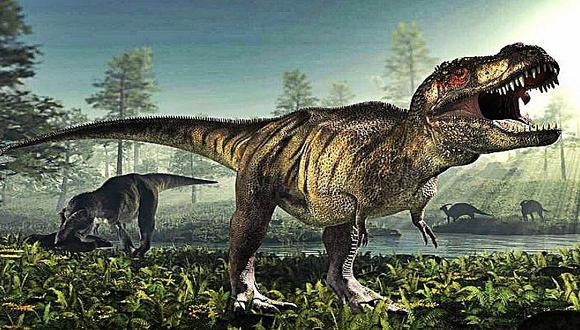 ¿Cuántas especies de dinosaurios se han encontrado? 