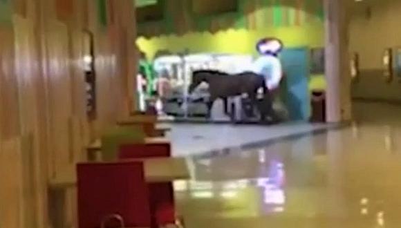 Caballito genera alboroto al ingresar de manera sorpresiva a centro comercial (VIDEO)