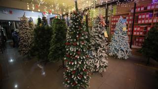 Navidad llegó a Mesa Redonda: árbol cadavérico da la hora en ferias