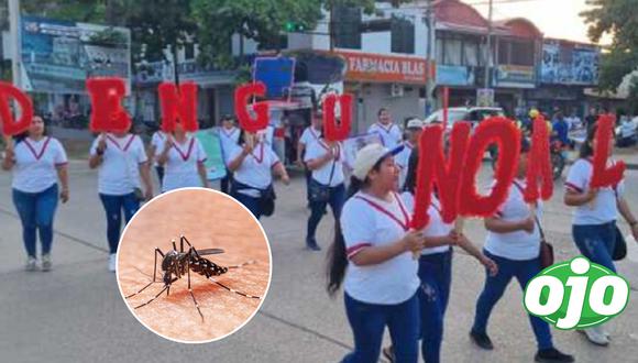 Declaran cada 26 de agosto como el 'Día contra el dengue' en Madre de Dios.