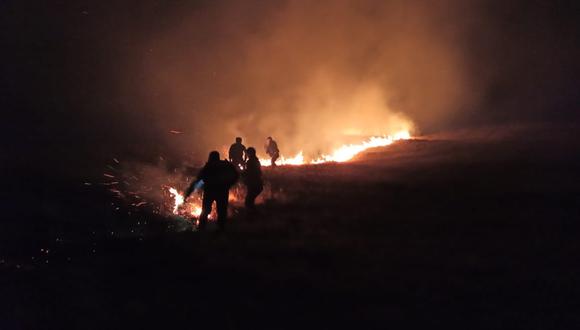 Áncash: incendio forestal afectó bosques de eucalipto y 10 hectáreas de pastos (Foto: COER-Áncash)