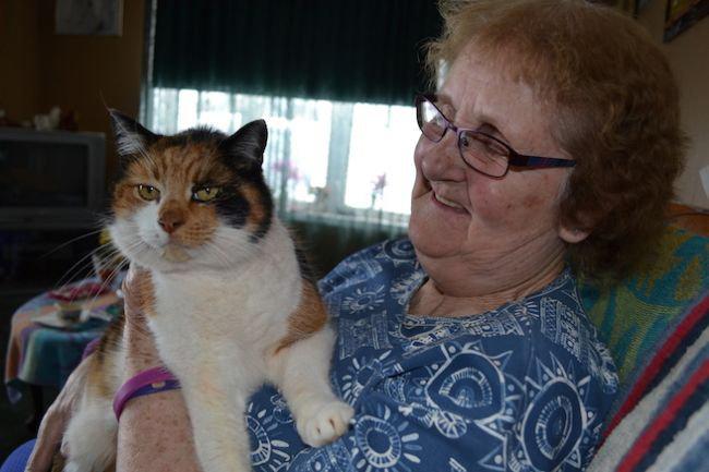 ​Conoce la historia de ‘Bubba’, la gata que sobrevivió 40 días bajo nieve