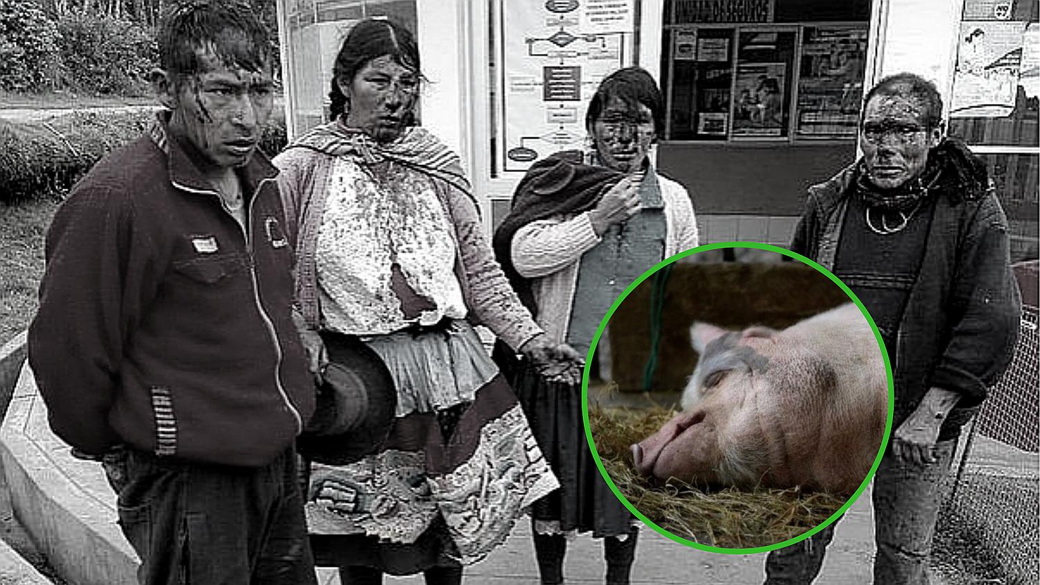 Familias se golpearon con piedras y palos por culpa de un chancho