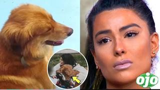 Ivana Yturbe tras ser acusada de abandonar a perrito: “Tratan de dejarme como una mala persona”