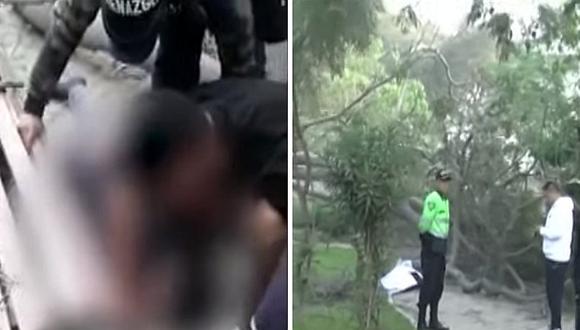 Hombre muere aplastado por árbol cuando dormía en banca de un parque | VIDEO