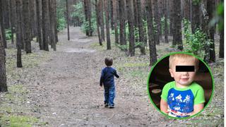 Niño de dos años es hallado con vida luego de perderse en un bosque por tres días