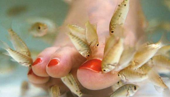 Tratamiento de belleza con peces deja sin dedos a una mujer