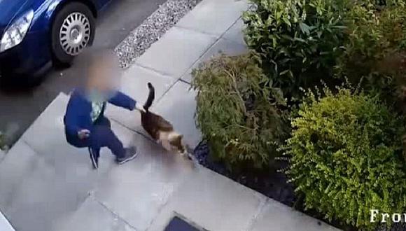 YouTube: Niño golpea a gato pero recibe una cuchara de su propia medicina [VIDEO]