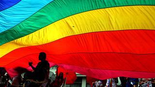 Defensoria del Pueblo:  Perú carece de leyes y políticas para proteger derechos de las personas LGTB