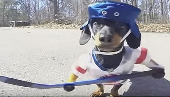 YouTube: Perros salchicha jugando hockey son la sensación [VIDEO]