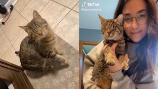 Esta es la vida de ‘Archie’, el gatito ciego que arrasa en TikTok con sus travesuras