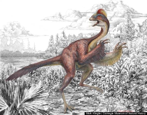 Descubren restos de "Pollo del infierno", dinosaurio que vivió hace 66 millones de años 