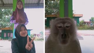 Indonesia: un mono interrumpe un baile de TikTok de dos jóvenes y les roba el celular | VIDEO