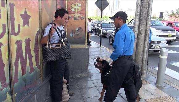 Miraflores: Perros de Brigada Canina ponen alto a la delincuencia